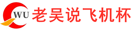 老吴说飞机杯